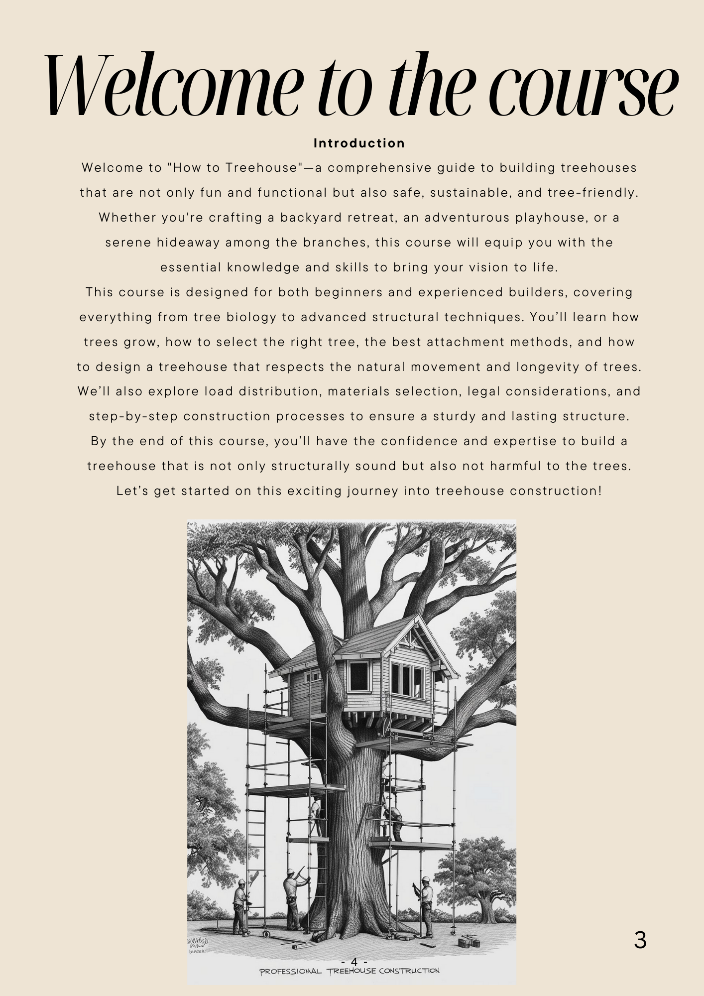 Treehouse 101 - How To Treehouse, Engineering Structures On Living Trees