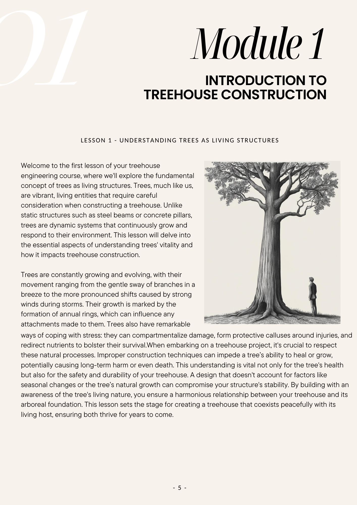 Treehouse 101 - How To Treehouse, Engineering Structures On Living Trees